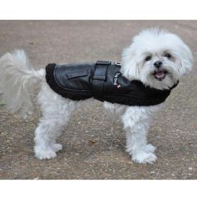 Black Top Flight Coat (Option: Medium)
