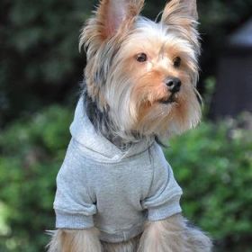Flex-Fit Hoodie- Gray (Option: X-Small)