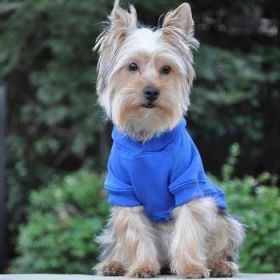 Flex-Fit Hoodie- Blue (Option: X-Large)