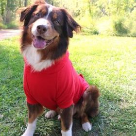 Flex-Fit Hoodie- RED (Option: X-Large)