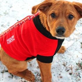 Highline Fleece Coat-Red and Black With Rolling Bones*LC=Large Chest (Option: Size 20)
