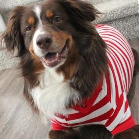 Polos Striped - Flame Scarlet Red & White (Option: 2X-Large)