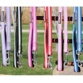 Basic Reflective Dog Leash - Cobalt Blue (Option: 5ft)